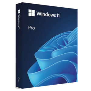 Windows 11 Pro